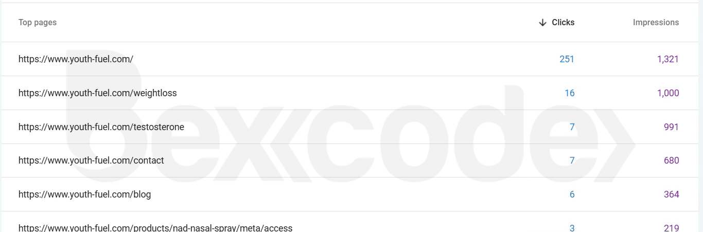 Google-Search-Console-landing-pages-YouthFuel