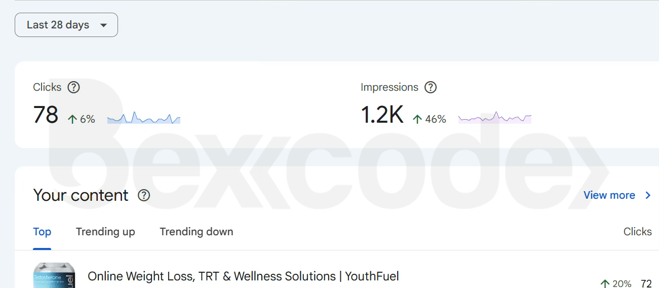 Google-Search-Console-Report-YouthFuel